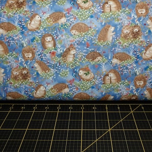 Paintbrush Studio. Hedgehog Village. Hedgehogs Blue
