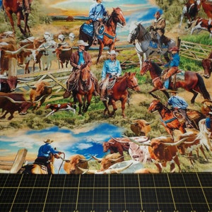 Michael Miller. Big Sky Country. Sky Country Multi DIGITALLY PRINTED