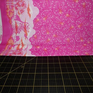FreeSpirit. Tula Pink. Roar! Meteor Showers Blush - Stampa a doppio bordo