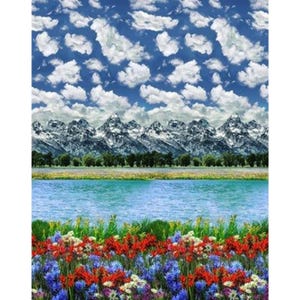 Shannon Fabrics. Hoffman Mountain 36&quot; Panel Digitally Printed MINKY 58/60 WIDE