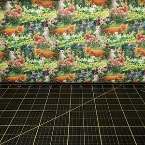 3 Wishes Fabric. Princess Dreams. Forest Friends Green