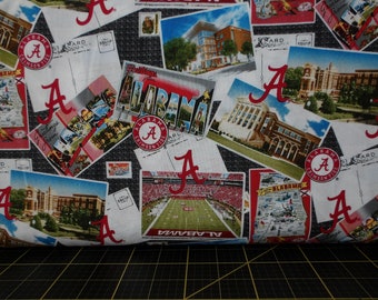 Sykel Enterprises. Postal panorámica de los Alabama Crimson Tide de la NCAA.