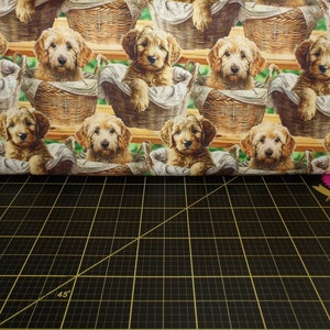 David Textiles. Baby Goldendoodles Multi DIGITALLY PRINTED
