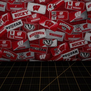 Sykel Enterprises. NCAA Wisconsin Badgers License Plate 44/45