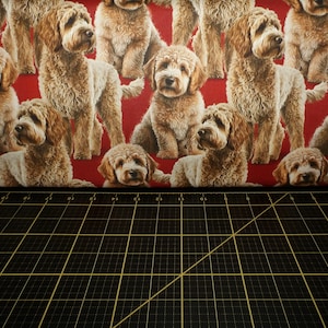 David Textiles. Labradoodle Red DIGITALLY PRINTED