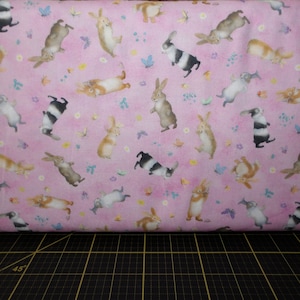 Michael Miller. Honey Bunny. Funny Bunny Pink