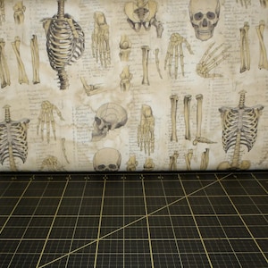 Free Spirit. Laboratory. Anatomy Neutral - Designed by Tim Holtz