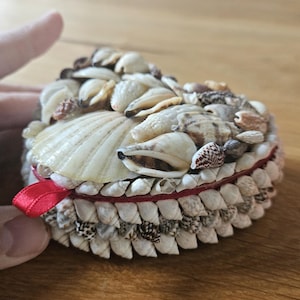 May include: Heart-shaped trinket box covered in various seashells. The box features a red ribbon and is made with a variety of small, beige, and brown shells. The lid is adorned with larger, cream-colored shells. A unique decorative item.