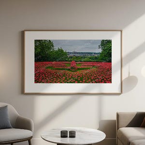 Impressão comemorativa do avião Red Poppy, fotografia do IBCC Lincoln, arte de parede em homenagem à RAF.