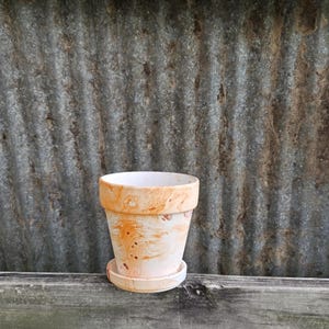 May include: A small, round terracotta flower pot with a matching saucer. The pot has a marbled orange and white design. The background is a corrugated metal sheet.