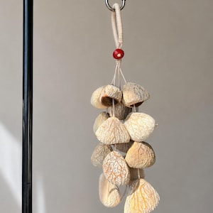 Peut inclure: Une décoration suspendue composée de plusieurs gousses de graines séchées, de couleur beige clair et texturées, disposées en grappe. Les gousses sont suspendues par des cordons fins et clairs fixés à une boucle, avec une perle rouge.