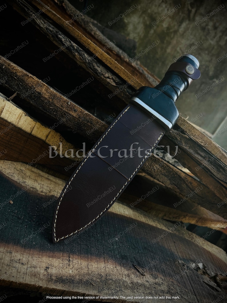 Puede incluir: Una espada romana gladius con una funda de cuero marr&oacute;n oscuro. La espada tiene un mango negro y una guarda plateada. La funda est&aacute; cosida con hilo blanco. La hoja no es visible. Sobre tablas de madera.
