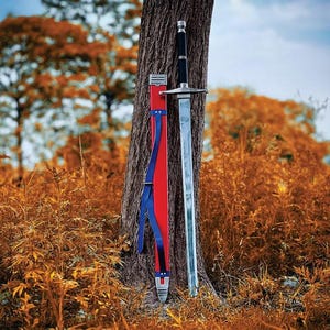 May include: A long, silver sword with a black handle and a red and blue sheath leans against a tree trunk. The sword's blade is shiny, reflecting the surrounding autumn foliage. The sheath is red with blue straps.