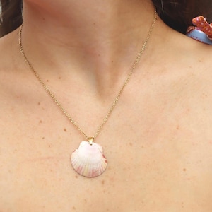 Shell necklace- Handmade Coastal necklace with real Calico seashells, dainty seashell, ocean and mermaid jewelry