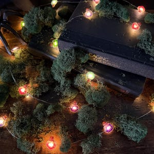 Op de afbeelding: Een snoer met LED-verlichting met kleine, kleurrijke lampjes in de vorm van toverdrankflesjes in rood, paars, groen en oranje. De lampjes zijn verweven met plukken groen mos en gedrapeerd over twee zwarte boeken, waarvan één Caging the Raven heet.