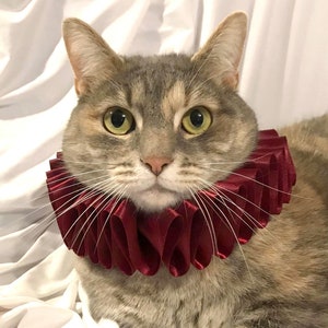 Cat Pet Dog Costume Burgundy Ruffled Collar Neck Ruff Victorian Steampunk Edwardian Elizabethan Red image 1