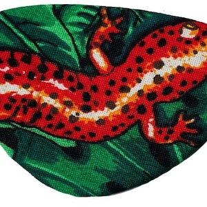 Eye Patch Chameleon Salamander Gecko Newt Fashion Pirate Fantasy Fashion Reptile Amphibian