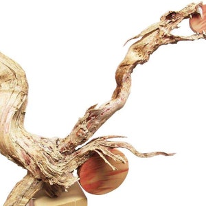 Wood Carving Sculpture Dragon Fire Circle Original Rick Cain Fantasy Art Signed