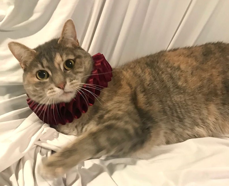 Cat Pet Dog Costume Burgundy Ruffled Collar Neck Ruff | Etsy