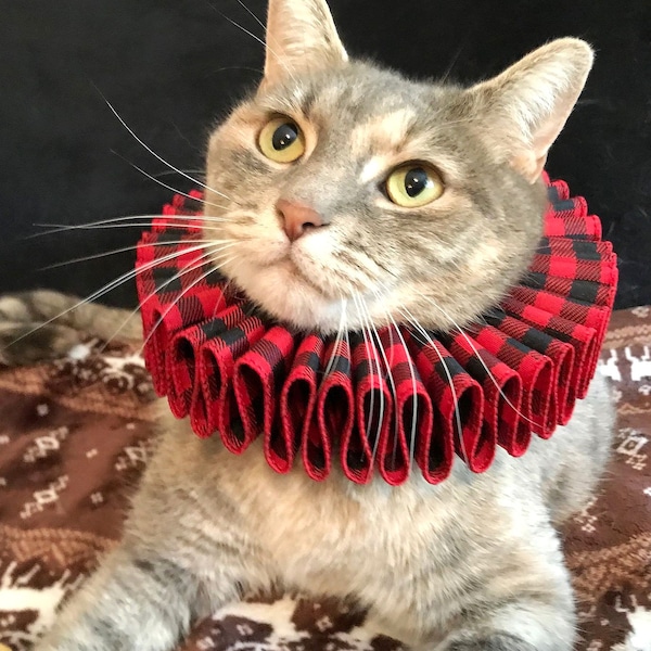 Cat Pet Dog Costume Christmas Holiday Ruffled Collar Plaid Neck Ruff Victorian Edwardian Elizabethan