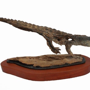 Wood Carving Sculpture Gator Vision Original Rick Cain Florida Alligator Art Signed