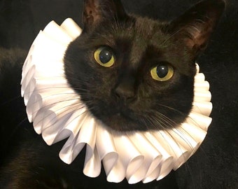 Costume per cani e gatti. Colletto bianco con volant arricciato, vittoriano, steampunk, edoardiano, elisabettiano, in molti colori