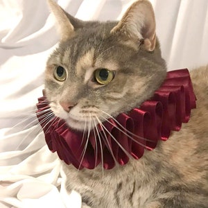 Cat Pet Dog Costume Burgundy Ruffled Collar Neck Ruff Victorian Steampunk Edwardian Elizabethan Red image 2