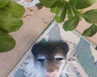 Opossum therian mask