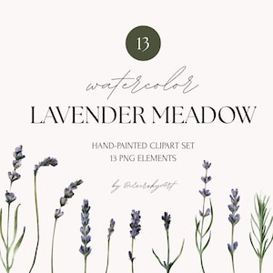 Lavender clipart png - Watercolor floral clipart - Purple flowers clip art - Digital download