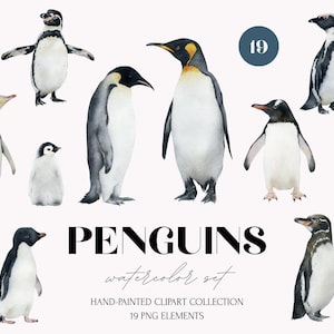 Peut inclure: Ensemble de 19 illustrations de pingouins peintes à la main à l'aquarelle. Les pingouins sont représentés dans diverses poses, avec un plumage noir, blanc et gris. Le mot "PENGUINS" est écrit en lettres noires en gras, avec "watercolor set" en dessous.