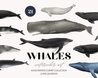 Ballena en acuarela (PNG) - Ilustraciones de animales del océano (Descarga digital)