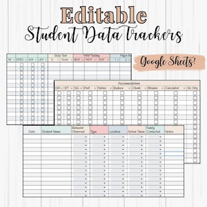 All-in-One Student Data Tracker | Google Sheets | Editable Teacher Spreadsheet for Testing, Accommodations & Behavior| Documentation