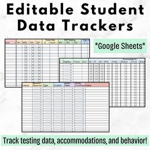 All-in-One Student Data Tracker | Google Sheets | Editable Teacher Spreadsheet for Testing, Accommodations & Behavior| Teacher Documentation