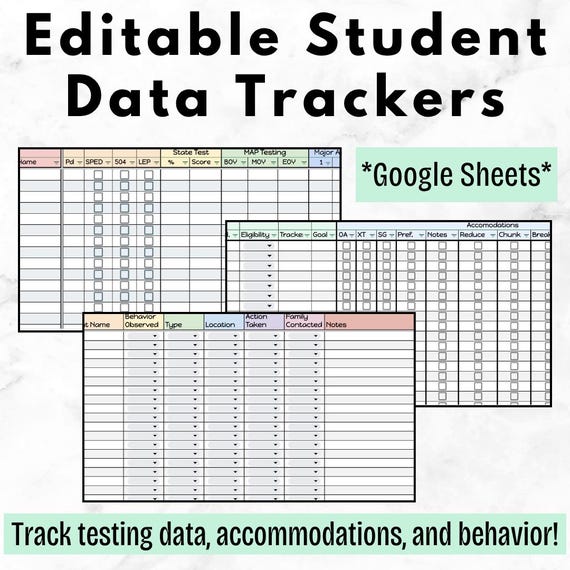 All-in-One Student Data Tracker | Google Sheets | Editable Teacher Spreadsheet for Testing, Accommodations & Behavior| Teacher Documentation