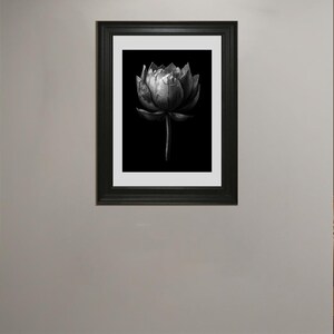 Black and White Lotus Wall Art – Monochrome Botanical Print | Minimalist Elegant Decor | Digital Download | A2 A3 A4 Printable Wall Art