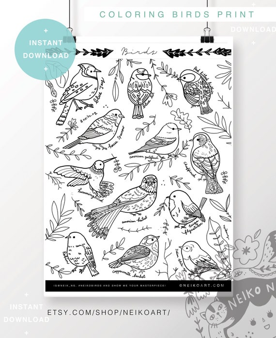 Coloring poster INSTANT DOWNLOAD bird poster coloring bird