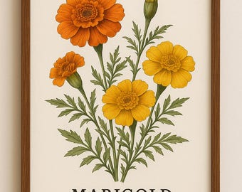 Puede incluir: Una impresión botánica enmarcada con flores de caléndula en tonos naranja y amarillo, con follaje verde. La impresión incluye la palabra "MARIGOLD" y el nombre científico "Tagetes" en texto negro. El marco es de color marrón oscuro.