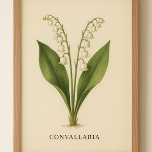 Whispers of Spring – Lily of the Valley Botanical Wall Art (Convallaria)
