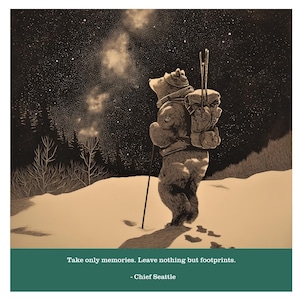 CHIEF SEATTLE Leave No Trace Bear - Take only memories. Leave nothing but footprints.