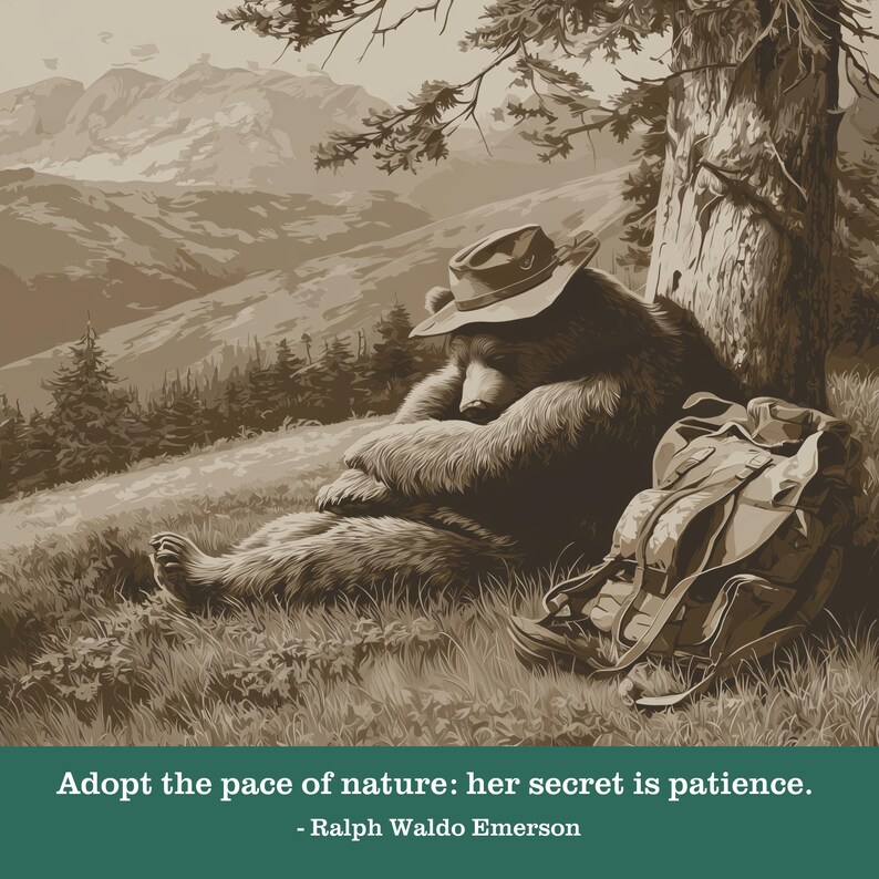 Nature's Pace Bear Journal - Emerson Quote - Rest Recovery Slow Living Patience Notebook image 2