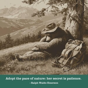 Camiseta Nature's Pace Bear - Cita de Emerson - Descanso, paciencia, vida lenta, camiseta anti-ajetreo imagen 2
