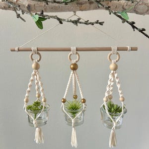 May include: Three macrame plant hangers with glass containers holding small green plants. The hangers are suspended from a wooden dowel and adorned with wooden beads and tassels. The dowel is suspended from a decorative branch.