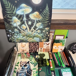 Peut inclure: Une collection d'articles de papeterie et de loisirs cr&eacute;atifs comprenant une tenture murale avec une for&ecirc;t de champignons au clair de lune, un carnet illustr&eacute; d'un hibou, des stylos verts, un mini cahier, une pochette l&eacute;opard et divers accessoires.