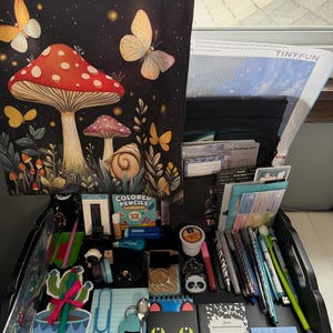 Peut inclure: Un plateau organisateur noir rempli de fournitures de papeterie, incluant une housse en tissu &agrave; motifs de champignons et papillons, un kit de broderie diamant TinyFun, des crayons de couleur, des stylos, un bloc-notes cactus et un carnet chat noir.
