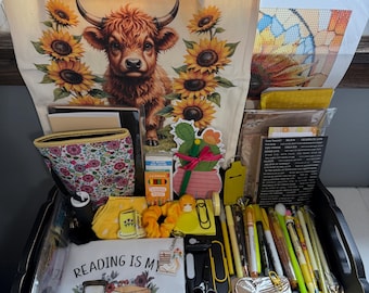 Mystery Bookish Bundles with Mini Journal Included