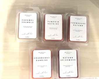 Fall Wax Melts – Warm, Spiced & Long-Lasting Fragrance
