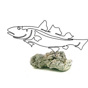 May include: A minimalist line drawing of a fish in black, seemingly floating above a textured, gray-green rock. The artwork is set against a clean white background, emphasizing the simplicity of the design.