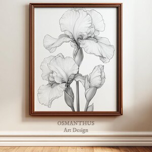 May include: A framed black and white botanical art print featuring detailed line art of irises. The artwork is displayed in a brown wooden frame and hangs on a white wall above a wooden floor. The text "OSMANTHUS Art Design" is printed at the bottom.