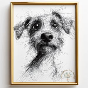 May include: A framed black and white sketch of a dog with a shaggy coat and expressive eyes. The artwork is in a gold frame and features a detailed drawing style, capturing the dog's features. The artist's signature is in the bottom right corner.