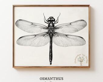 Ilustración minimalista de una libélula a pluma y tinta – Arte de la naturaleza en blanco y negro (Descarga digital) 465
